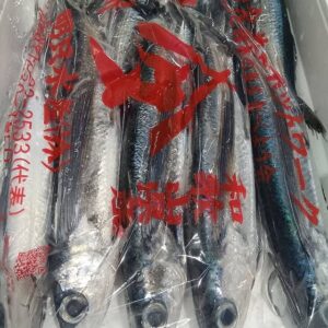 和歌山産 とびうお約250g 1匹