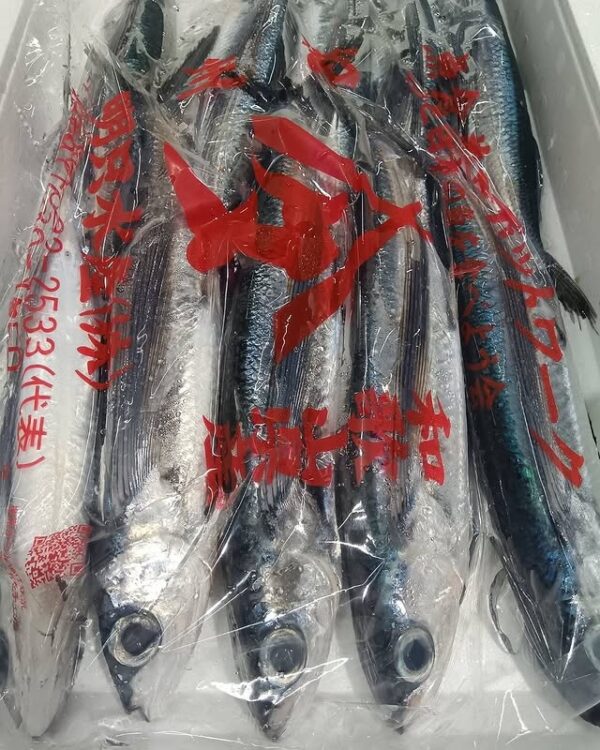 和歌山産 とびうお約250g 1匹