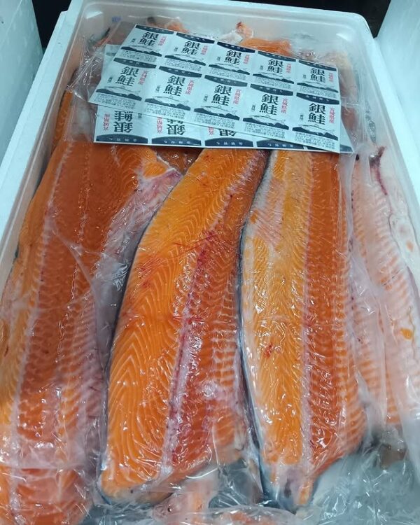 宮城産 生銀鮭 100g