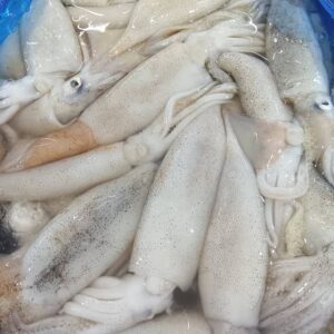宮城産 生するめいか 100g