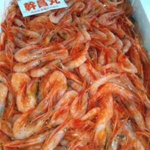 福井産 甘エビ 100g