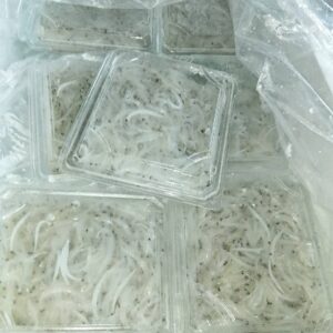 茨城産 生しらうお 1パック