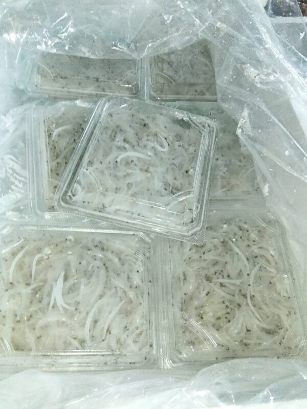 茨城産 生しらうお 1パック