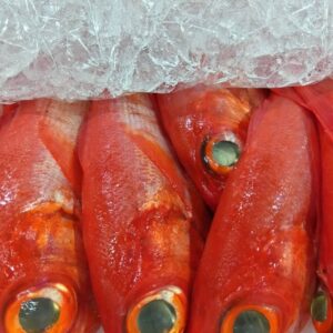 静岡産 キンメダイ約500g 1匹