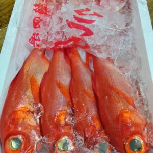 静岡産 キンメダイ約500g 1匹