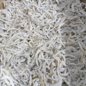 和歌山産 新物しらすちりめん 1kg入1箱