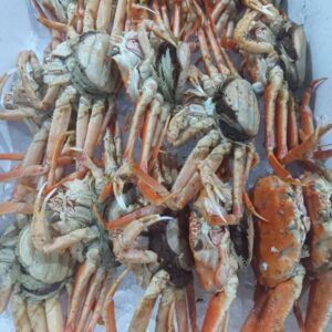 北海道産 ボイルせこがに 1匹