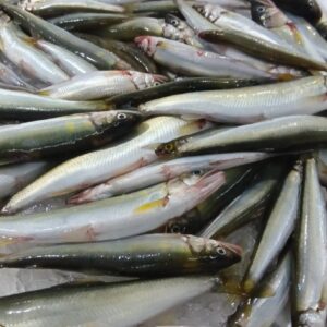 滋賀産 琵琶湖の小鮎 1/3