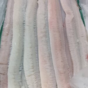徳島産 活骨切りはも 1匹