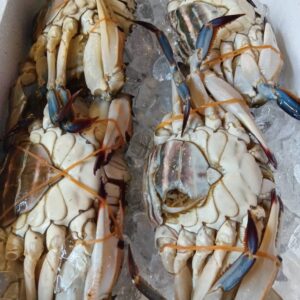 宮城産 わたりがに♀約750g 1匹