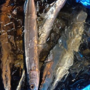 北海道産 新物樽さんま約160g 1匹