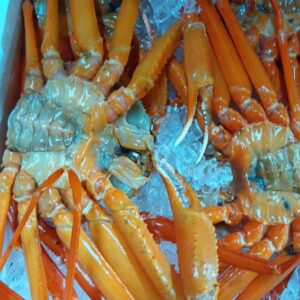 石川産 活紅ずわいがに大サイズ 1匹