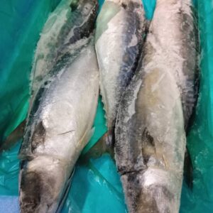 静岡産 塩さば特大サイズ 1匹